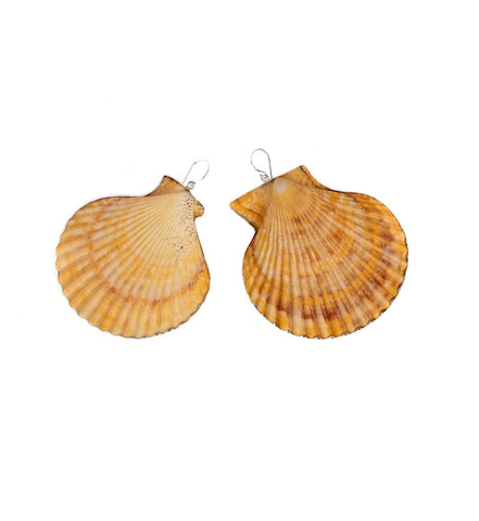 Orange Sunrise Seashell Earrings