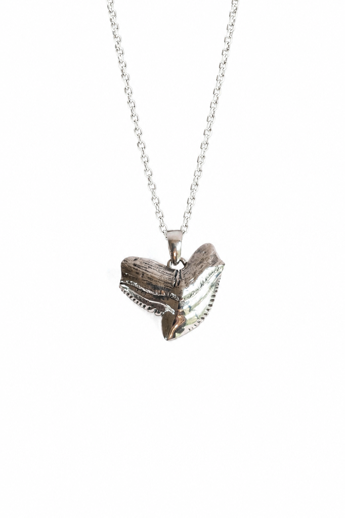 Tiger Shark Tooth Pendant