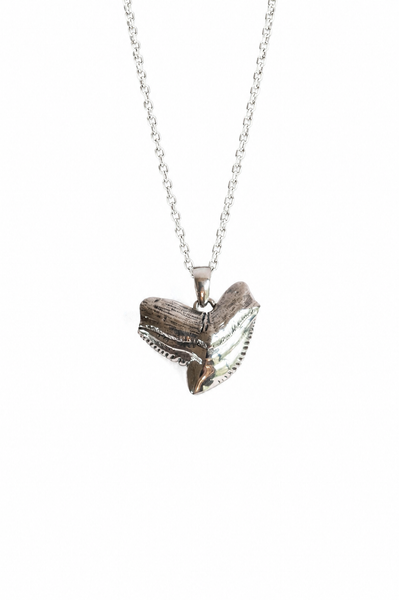 Tiger Shark Tooth Pendant
