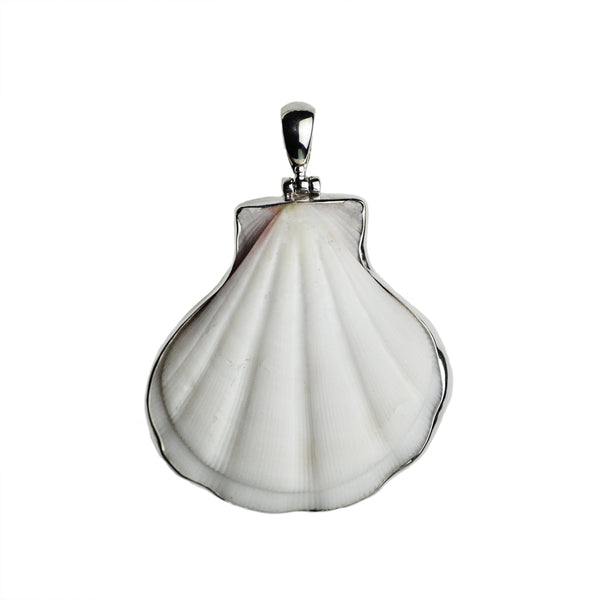 Ningaloo Seashell Pendant