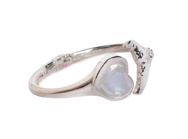 Luna Dolphin Angel Aura