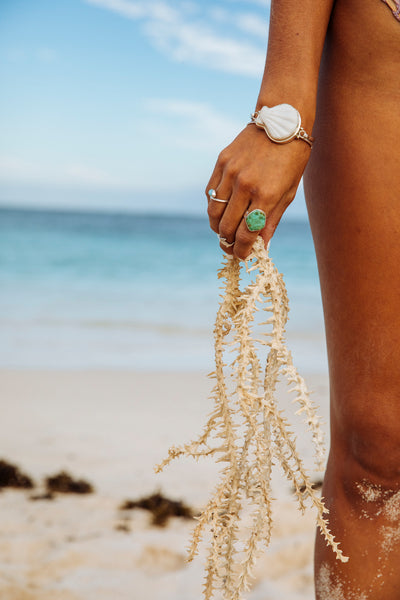 Malin Seashell Bracelet
